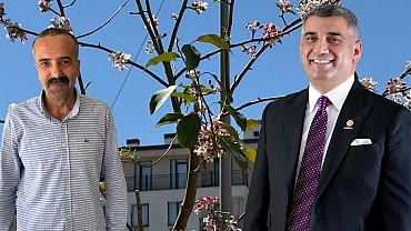 Yalancı bahar ne anlatıyor?