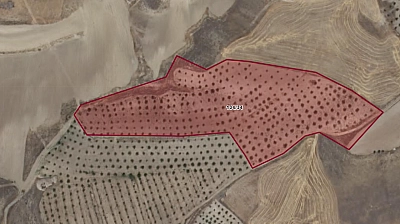 Elazığ Baskil'de 27 dönümlük kayısı bahçesi icradan satışa çıkıyor… Değerinden aşağıya satılacak