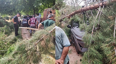 Elazığ'da faciaya ramak kaldı