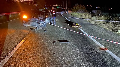 Elazığ'da feci kaza: Otomobilin çarptığı yaya hayatını kaybetti