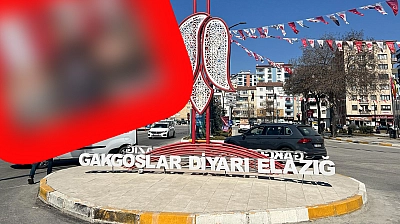 Elazığ'da fiyatı düştü, talep yine de yok