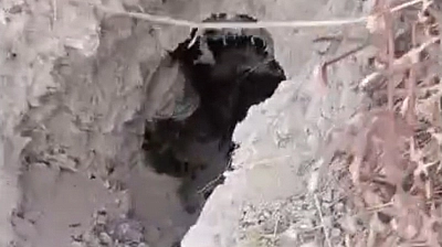 Elazığ'da hayrete düşüren görüntüler!