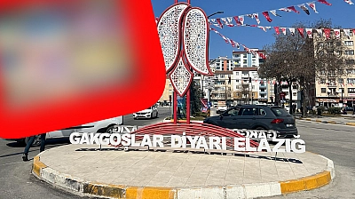 Elazığ'da hem gençlerin hem de annelerin yeni hobisi