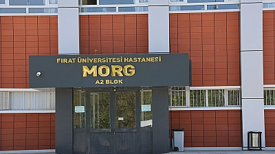 Elazığ'da iş kazası: 1 işçi hayatını kaybetti