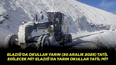 Elazığ'da okullar yarın (30 Aralık 2025) tatil edilecek mi? Elazığ'da yarın okullar tatil mi?