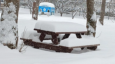 Elazığ'da yoğun kar, ulaştığı cm ile dikkat çekti