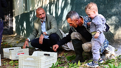 Elazığlı öğretmen 35 dönümlük bahçesinde ceviz üretiyor