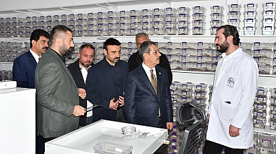 Erol Keleş, akrep zehri üretimini yerinde inceledi