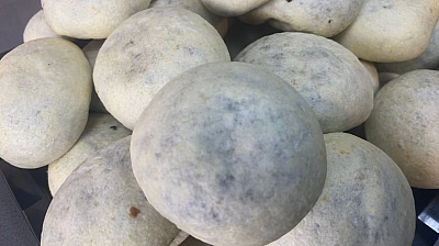 İzmir'in bombası Elazığ'a düştü