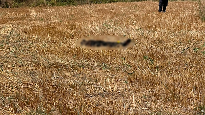 Kayıp olan adamın cesedi 15 gün sonra bulundu