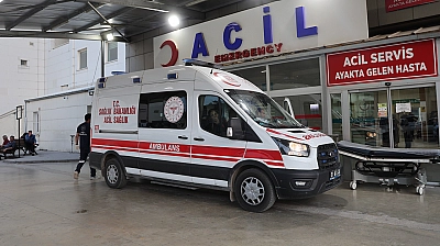 Kız alıp verme husumeti kanlı bitti: Baba ve oğlu öldürüldü