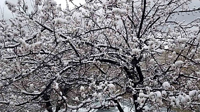 Meteoroloji'den Elazığ'a uyarı geldi!