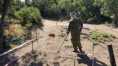 Terörsüz Türkiye ile Tunceli'de mayınlı araziler üretime kazandırılıyor