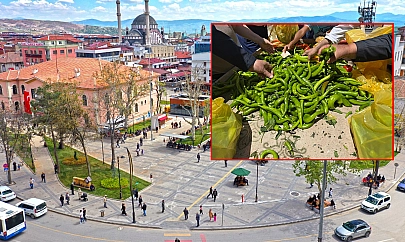 Elazığ'da kilosunu 15 liradan sattı dakikalar içinde tükendi