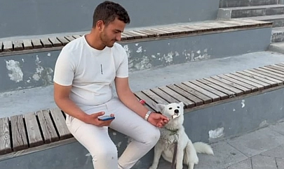Elazığ'da köpeğin dondurma aşkı görenleri gülümsetti