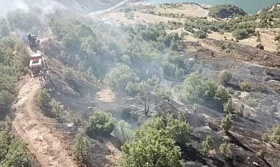 Elazığ'da ormanlık alanda çıkan yangın büyümeden söndürüldü