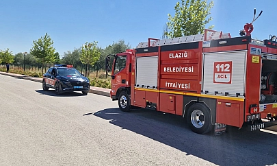Elazığ'da otluk alanda yangın
