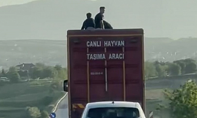Elazığ'da tehlikeli yolculuk!
