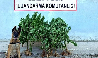Elazığ'da uyuşturucu operasyonu