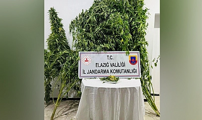 Elazığ'da uyuşturucuya geçit yok!