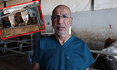 Elazığ Veterinerler Odası Başkanı: 'Şap hastalığı hızlı ilerler'