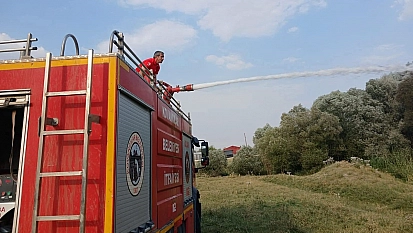Ağaçlık alanda çıkan yangın itfaiye ekiplerince söndürüldü