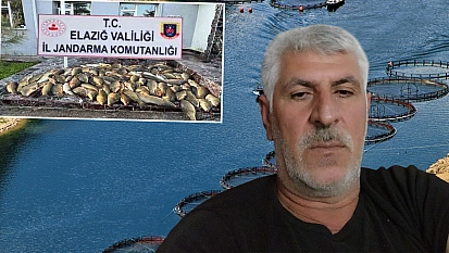 Denetimsizlik balık neslini tüketiyor