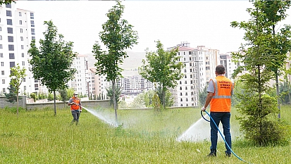 Elazığ Belediyesi, ilaçlama çalışmalarını aralıksız sürdürüyor
