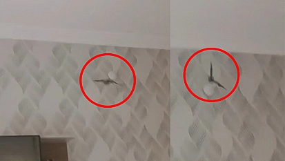 Elazığ'da akıllara durgunluk veren olay: Klimanın içinden çıkanlar şok etti