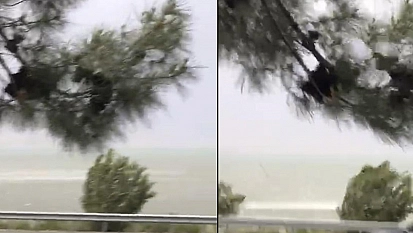 Elazığ'da fırtına etkili oldu