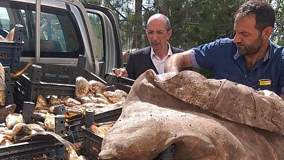 Elazığ'da kaçak avlanan 700 kilogram balık ele geçirildi