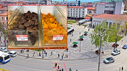 Elazığ'da kuru kayısı fiyatları uçtu