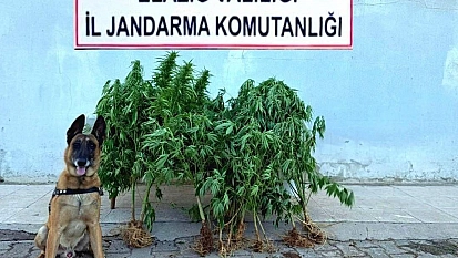 Elazığ'da uyuşturucu operasyonu