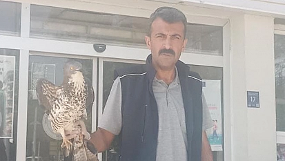 Elazığ'da yaralı şahin tedavi altına alındı