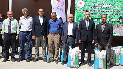 Kuru fasulye tohumu dağıtımı başladı