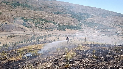 Ormanlar hepimizin yakma, yaktırma!