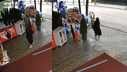 Renkli görüntülerle gri suç: Saksı hırsızlığı şaşırttı!