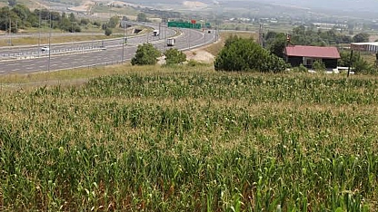 SGK satışa çıktı! Arsa alacaklara müjde! Fiyatlar 310 bin TL'den başlıyor
