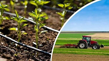 Çiftçilere müjde! Bakanlıktan 237 milyon TL destek