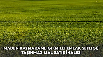 Maden Kaymakamlığı (Milli Emlak Şefliği) Taşınmaz Mal Satış İhalesi