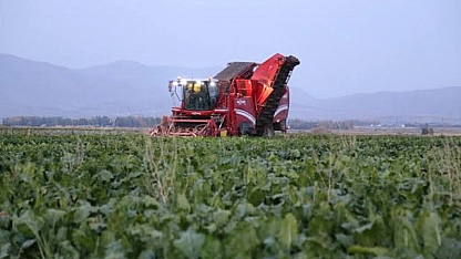 Üreticiye müjde! 991 milyon TL'lik dev destek