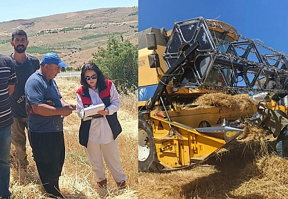Ağın'da hasat öncesi biçerdöver denetimi