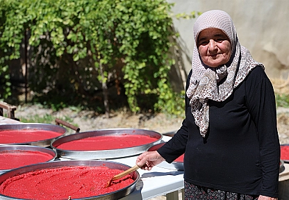Ağın'da kış hazırlığı: domates salçası tepsilerde güneşte olgunlaşıyor