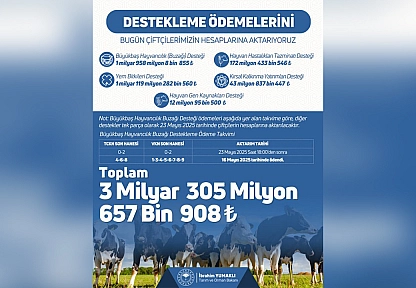 Bakanlık duyurdu: Destek ödemeleri hesaplarda