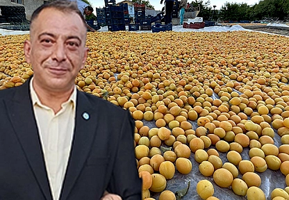 Başkan Arslan: Baskil Kayısısı yok sayılıyor, 'Utanç verici'