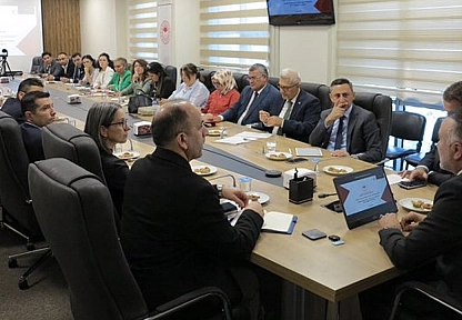 Buğday ithalatında bitki sağlığı kontrolleri masaya yatırıldı