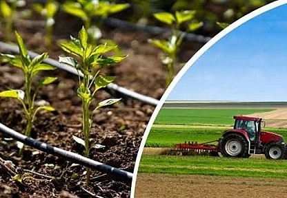 Çiftçilere müjde! Bakanlıktan 237 milyon TL destek