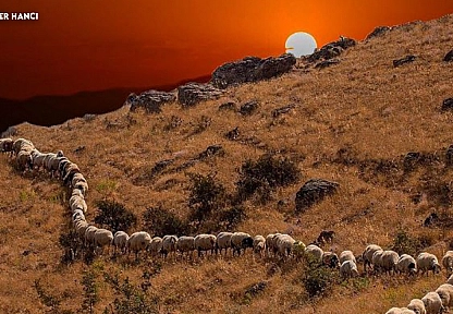 Elazığ'da bugün hava nasıl olacak? (30 Nisan 2025)