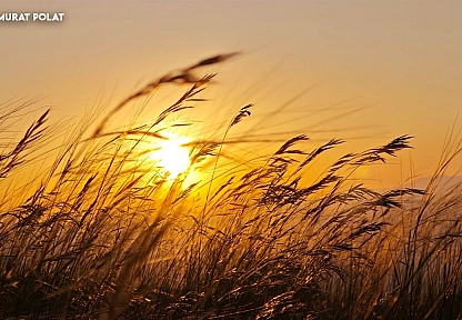 Elazığ'da bugün hava nasıl olacak? (15.06.2025)