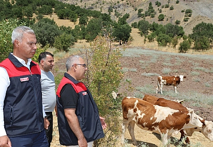 Elazığ'da kırsalda bereket projesi üreticilere destek oluyor